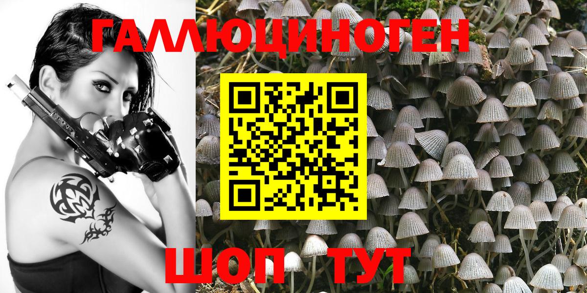 Галлюциногенные грибы MAGIC MUSHROOMS  Вход с VPN  купить  сайты  Фролово 